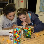 Math Fair