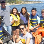 rov2 group resized